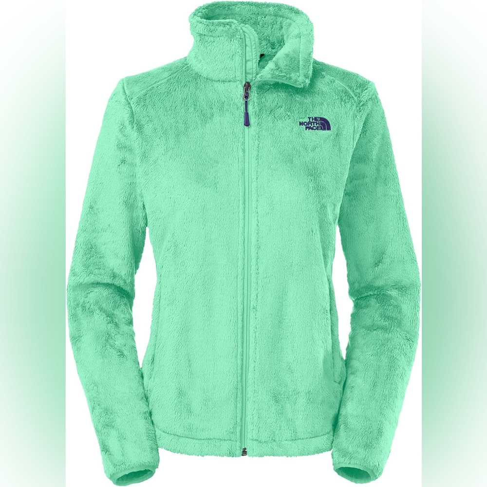 The North Face Osito 2 Fleece Jacket Mint